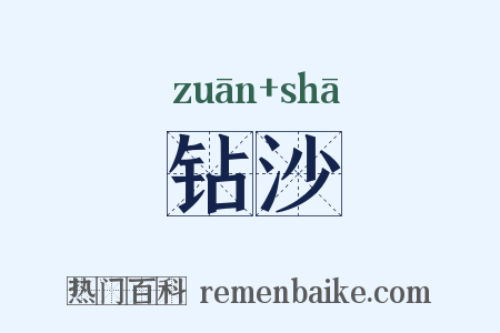 钻沙是什么意思的图片